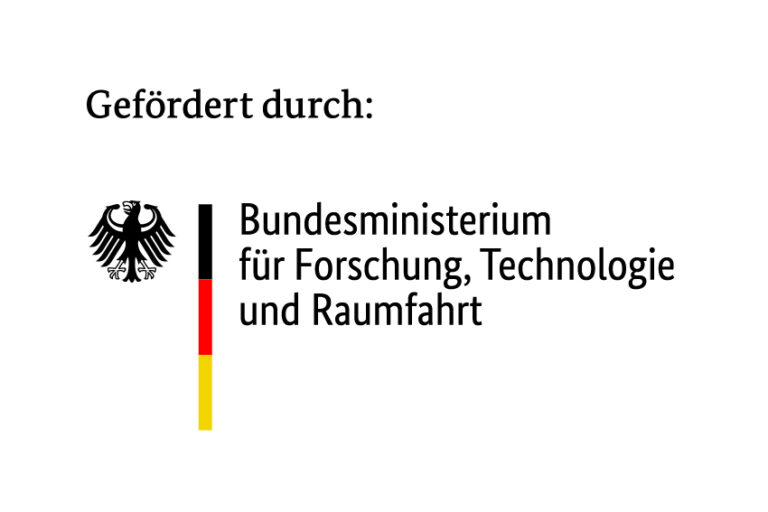 logo bmftr internet in farbe de